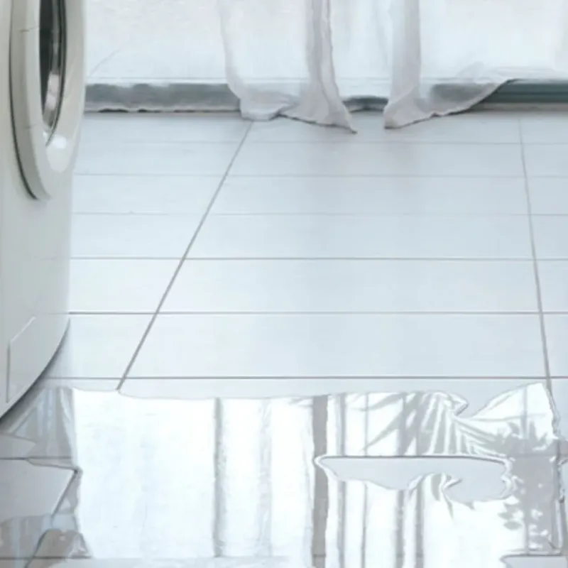 Appliance Leak Cleanup in Greenfield, IL