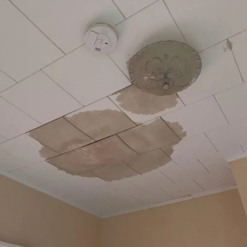 Ceiling Water Damage Repair in Greenfield, IL