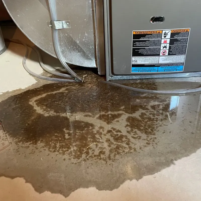 Pipe Burst and Leak Restoration in Greenfield, IL