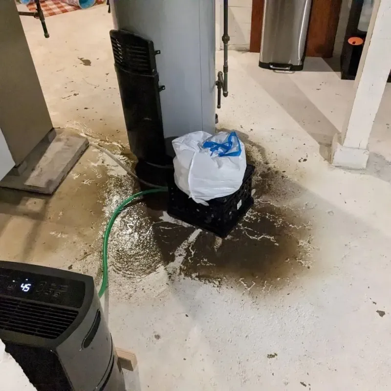 Sewage Backup Cleanup Service in Greenfield, IL